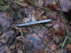 the_attachment_pen (3)