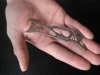 viperfish03-jpg